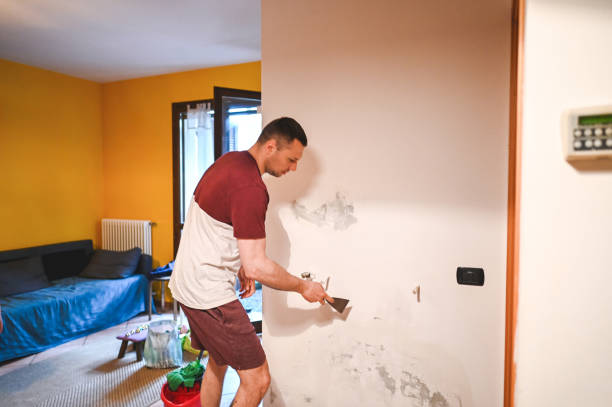 Best Bathroom Mold Remediation in Lake Kerr, FL
